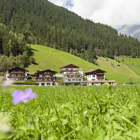 Art نيوستيف ام ستوبيتا